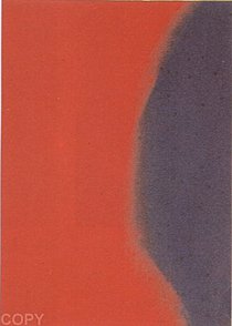 Warhol - 1979 - Shadows I, II.205