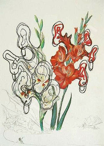 Dali Print - Gladiolus (+ Ears) Costa Brava
