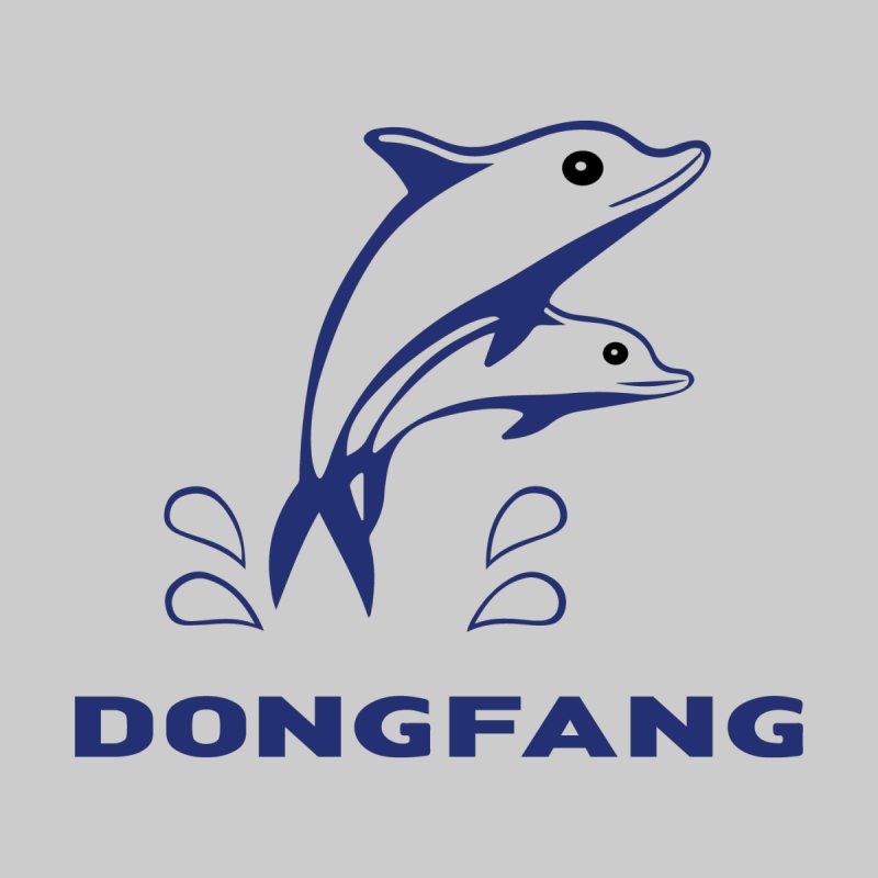 Transportation Company - Dong Fang - Container Logistics 