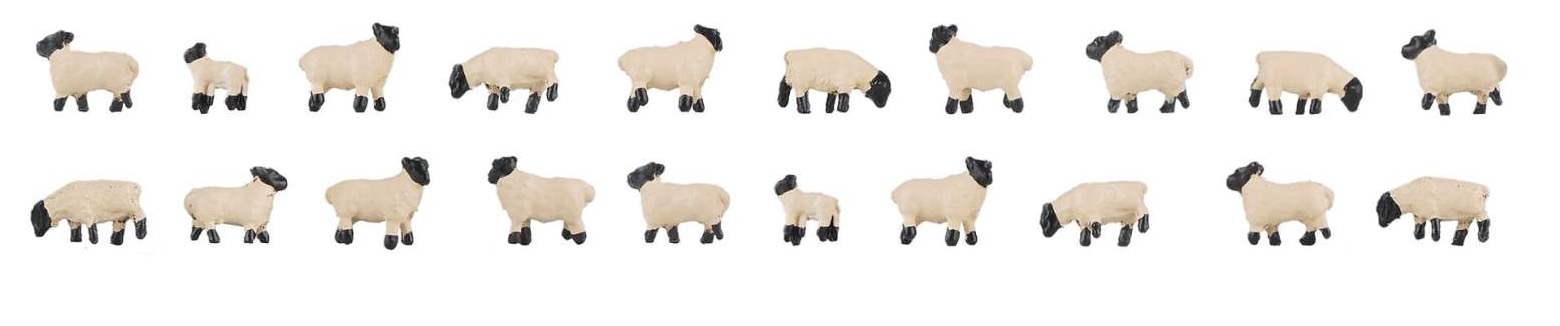 N Scale - Faller - 155906 - Figures, Animals, Sheep - Animals