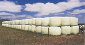 N Scale - N Scale Architect - 20002 - Farm - Undecorated - Hay Bales