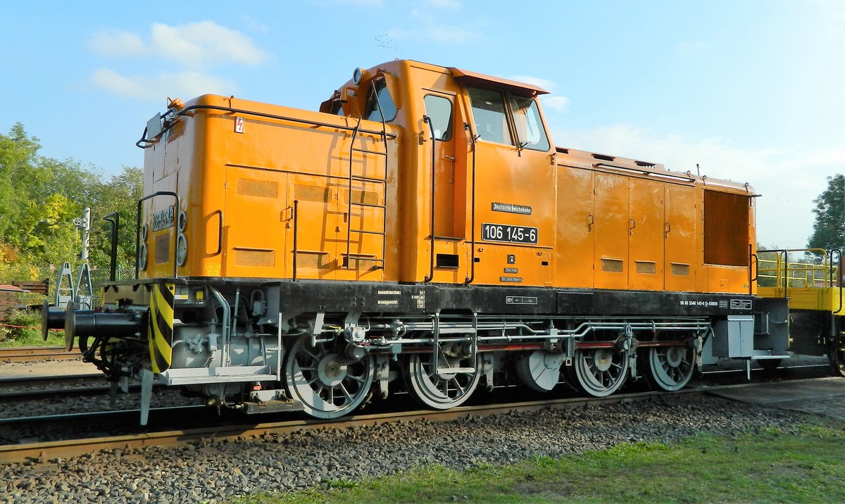 Vehicle - Rail - Locomotive - Diesel - DR V60